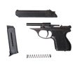 Disassembled psm-9r traumatic gun Royalty Free Stock Photo