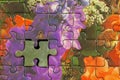Disassembled puzzle with a last wrong piece impossible to fill Royalty Free Stock Photo