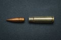 Disassembled 7.62x39mm caliber cartridge. Bullet and cartridge case from a rifle Royalty Free Stock Photo