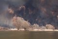 Disaster. Large fire in the steppe near Astrakhan, Russia. Burning dry reeds or reeds. Thick black smoke rises into the sky. Flora Royalty Free Stock Photo