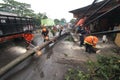 Disasters Fallen Tree