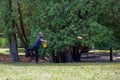 Disc golf. Royalty Free Stock Photo