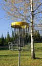 Disc golf, sports and hobbies in outdoor. Beautiful game. Autumn morning Royalty Free Stock Photo