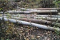 Discarded asbestos pipes Royalty Free Stock Photo