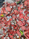 Discarded Beer Cans