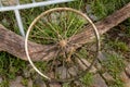 Discarded Bicycle Spokes