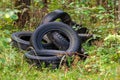 Discarded car tires in the forest - illegal landfill, problem of nature pollution with consumer waste