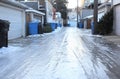 Discarded Christmas Trees in Icy Alley, January, Winter, Chicago, Illinois USA