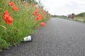 Discarded coffee cup lying at path side amongst poppy flowers as