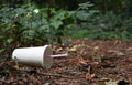 Discarded drinks container lying at the edge of a forest track