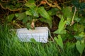 Discarded face mask lies in the grass