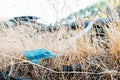 A discarded face mask lying on the ground