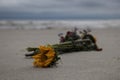 Discarded flowers on the beach lay there prone as the waves come in