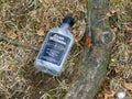 Discarded Empty Kentucky Bourbon Bottle near a Tree Root