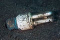 Discarded Lightbulb on Seafloor in Lembeh Strait