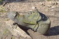 Discarded old torn shoes Royalty Free Stock Photo