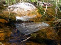 Discarded plastic bag in the river