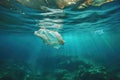 discarded plastic bags floating on the ocean surface Royalty Free Stock Photo