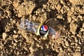 Discarded plastic bottle PEPSI MANGO lies on ground in the city. Empty soft drink bottle on earth