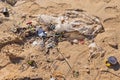 Discarded plastic garbage by wave at beach Royalty Free Stock Photo