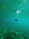 Discarded plastic water bottle in the ocean Royalty Free Stock Photo