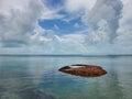 Discarded queen conch shells form small island in Bimini, Bahamas.