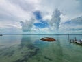 Discarded queen conch shells form small island in Bimini, Bahamas.