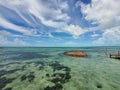 Discarded queen conch shells form small island in Bimini, Bahamas.