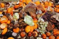 Discarded and spoiled food in a trash pile. Compostable organic waste