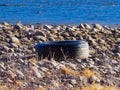 Discarded Tire on Colorado River