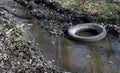 Discarded tire in a puddle in a forest