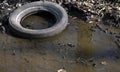 Discarded tire in a puddle in a forest