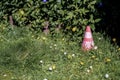 Discarded traffic cone in long grass