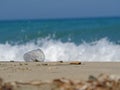 Discarded transparent plastic cup on the beach shows the pollution of the seas by plastic garbage Royalty Free Stock Photo