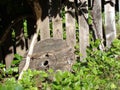 Discarded wood spool top against wooden fence Royalty Free Stock Photo