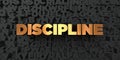 Discipline - Gold text on black background - 3D rendered royalty free stock picture