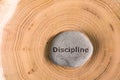 Discipline in stone on tree Royalty Free Stock Photo