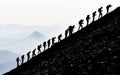 Disciplined, harmonious and cohesive professional mountaineer group Royalty Free Stock Photo