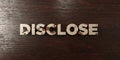 Disclose - grungy wooden headline on Maple - 3D rendered royalty free stock image