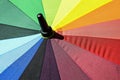 The disclosed bright colorful umbrella Royalty Free Stock Photo