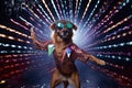 Disco dog having fun Royalty Free Stock Photo