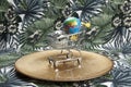 Disco earth in a trolley on a golden plate Royalty Free Stock Photo