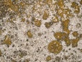 Discoloured Concrete Royalty Free Stock Photo