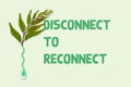 Disconnect to reconnect to nature and self, green leaf plant connected to unplugged USB