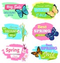 Discount Offer Super Choice Big Spring Sale Prices Royalty Free Stock Photo