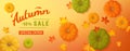 Discount, sale in autumn. Horizontal banner flyer with pumpkins, maple leaves on a colored background. Special seasonal offer.