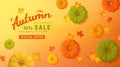 Discount, sale in autumn. Horizontal banner flyer with yellow, green, orange pumpkins, leaves on a colored background. Royalty Free Stock Photo