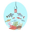 Discounts on hook as bait for fish. Funny sale advertising. Ad poster, special offer. Hanging red label with percent