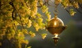 Discover the allure of the golden lamp Ormal in the midst of spring\'s blossoming splendor Royalty Free Stock Photo