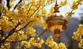 Discover the allure of the golden lamp Ormal in midst of spring\'s blossoming splendor Royalty Free Stock Photo